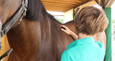 Osteopathie, Akupunktur u.-o. Massage, Erstbehandlung/ Folgebehandlung